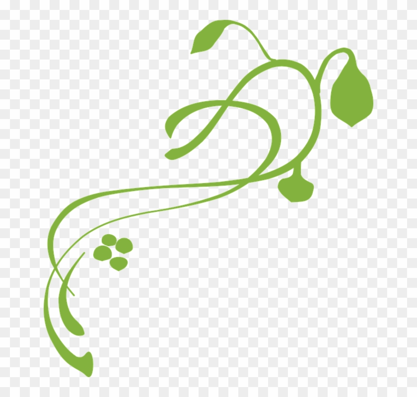Squiggly Clipart Floral Vector - Vines Clip Art - Png Download