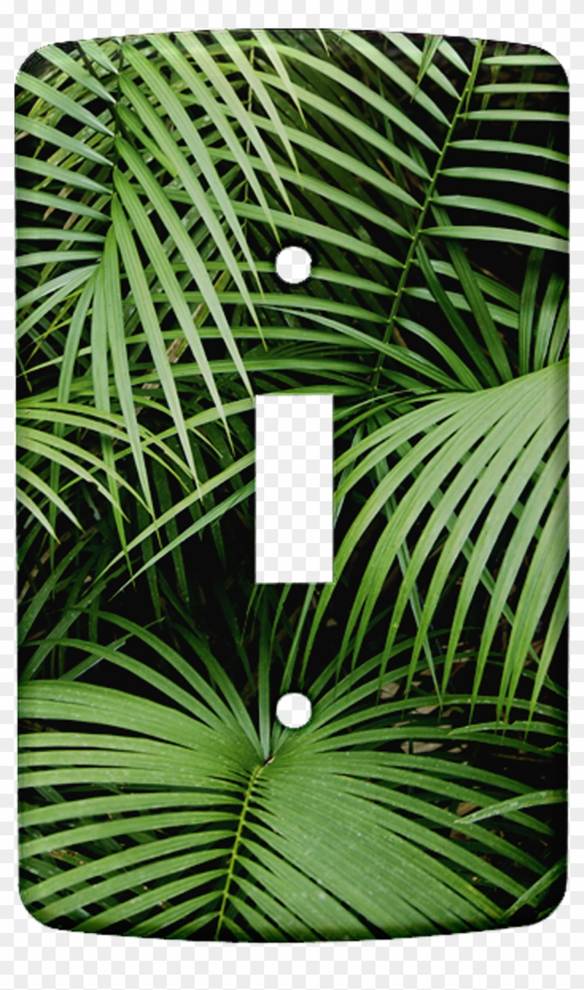 Palms Iphone & Ipod Skin - Palm Leaves Clipart