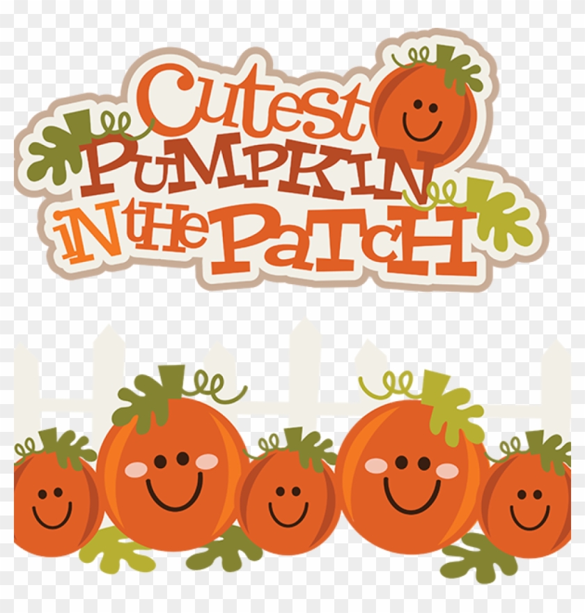 Pumpkin Patch Png - Clip Art Cute Pumpkins Transparent Png