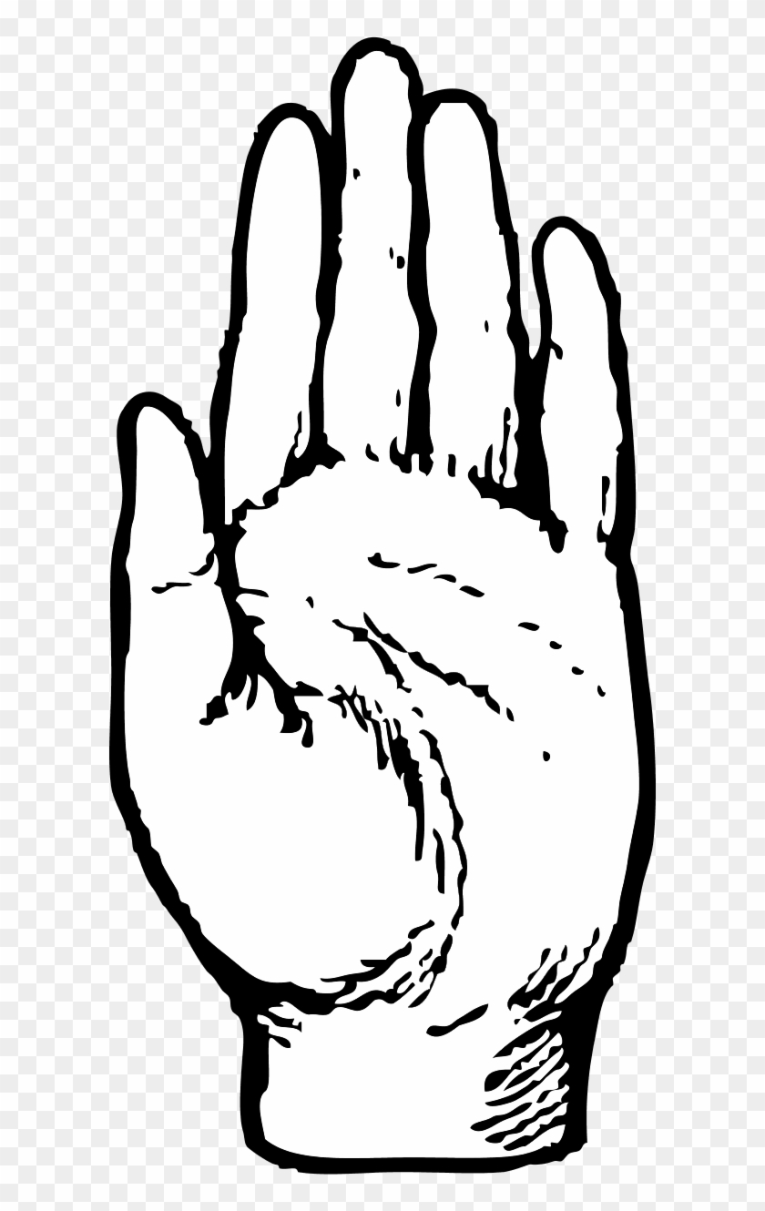 481 X 1000 10 - Left Hand Clip Art - Png Download #2778250
