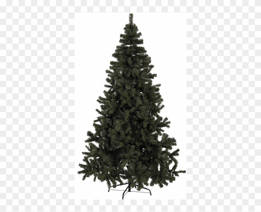 Christmas Trees Clipart