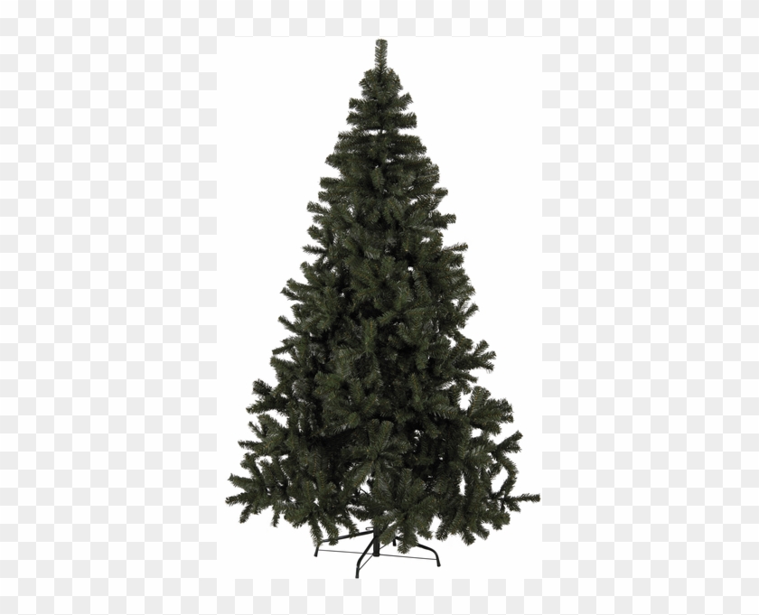 Christmas Trees Clipart #2778520