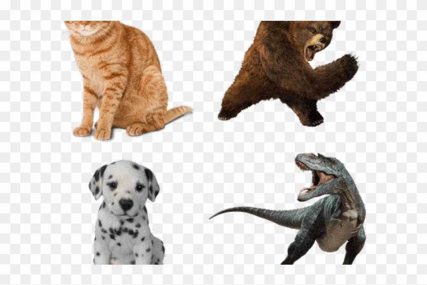 Animals And Their Young Ones Cat Kitten Clipart #2779066