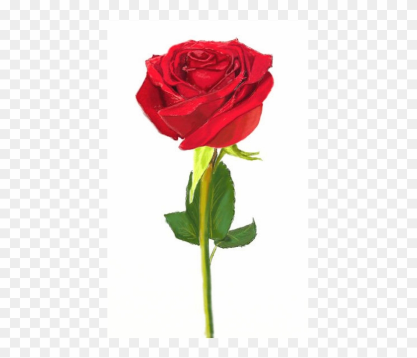 Petal Shape Rose Drawing Pictures Png Petal Png Shape - Draw And Colour Flowers Clipart