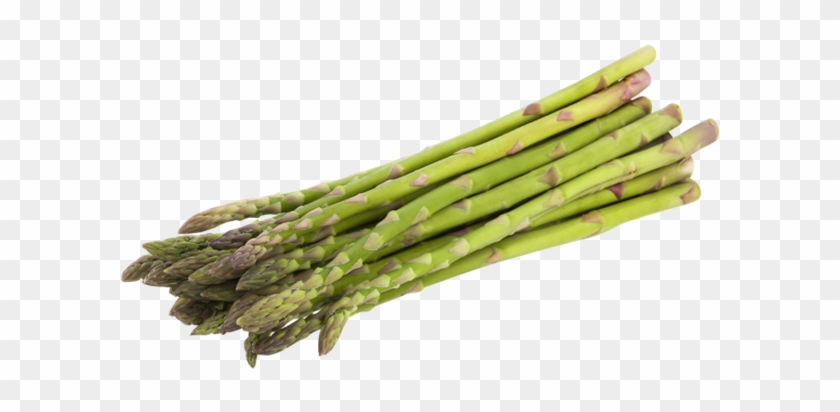 Asparagus Green Clipart #2780960