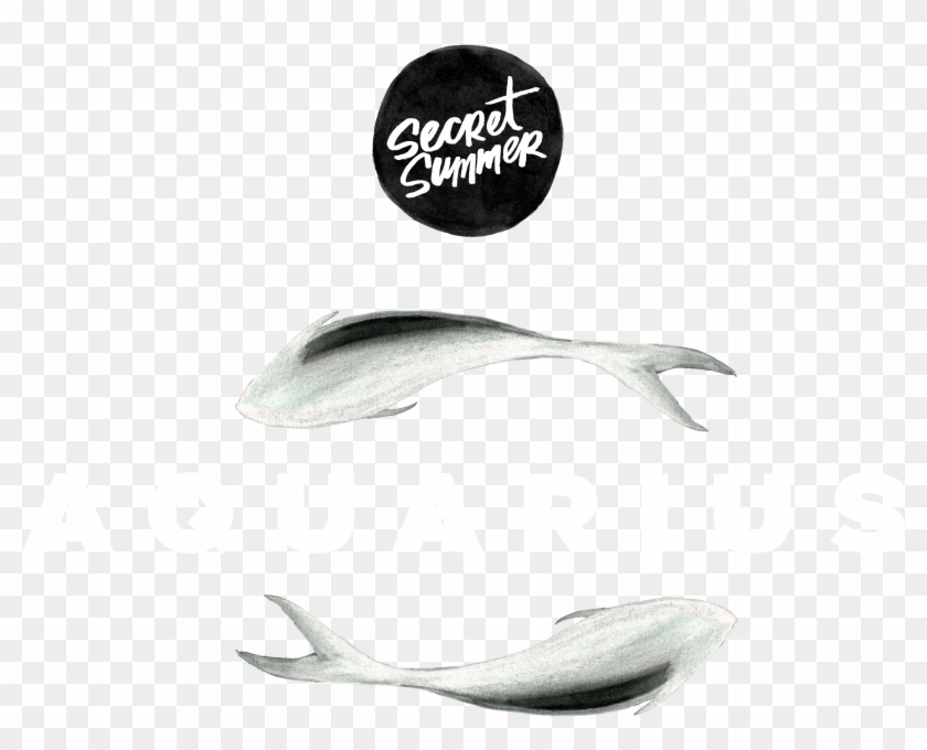 Sustainable Seafood , Png Download - Grey Whale Clipart #2782163