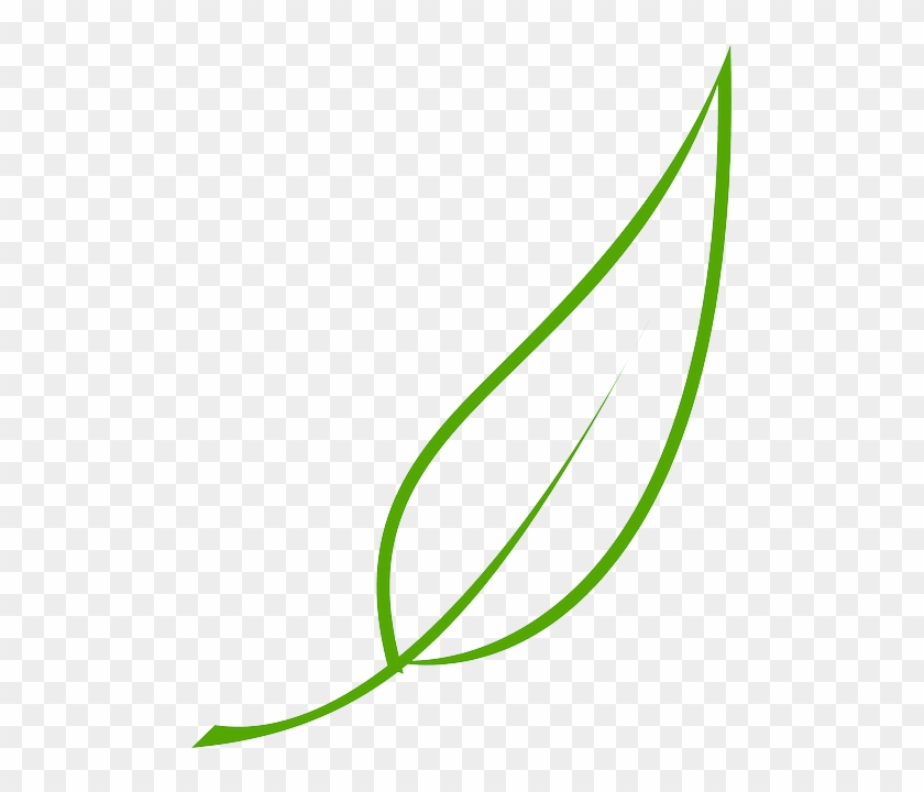 Green, Outline, Drawing, Leaf, Cartoon, Free, Color - Leaf Clipart Vector - Png Download #2782868