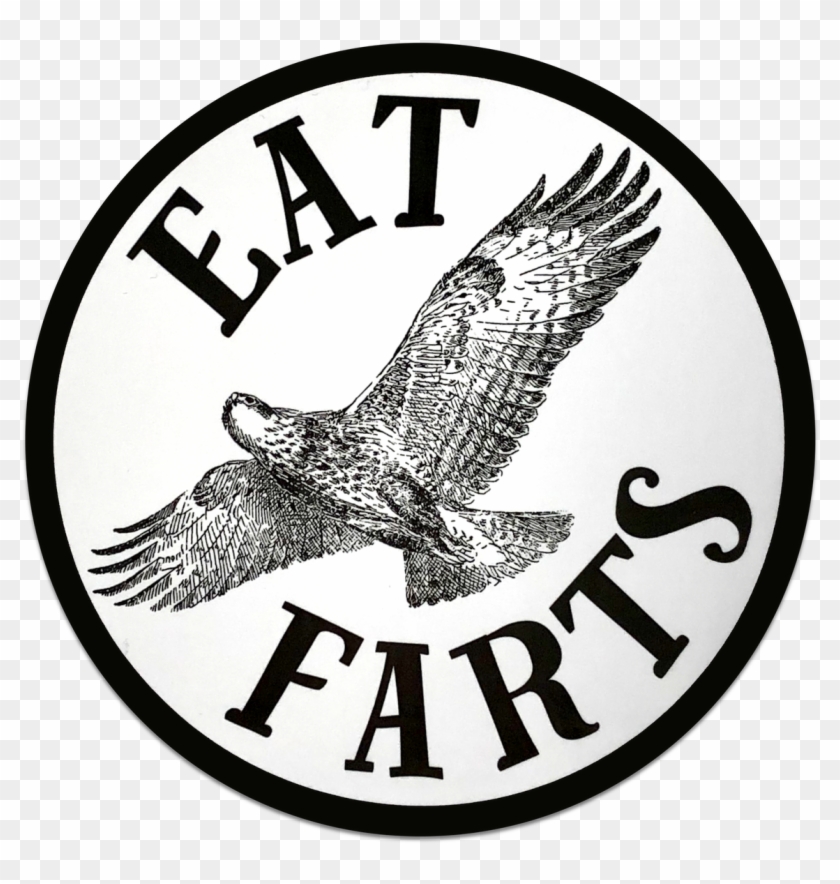 Volleyball Transparent Background - Volleyball Clipart Transparent Background - Png Download