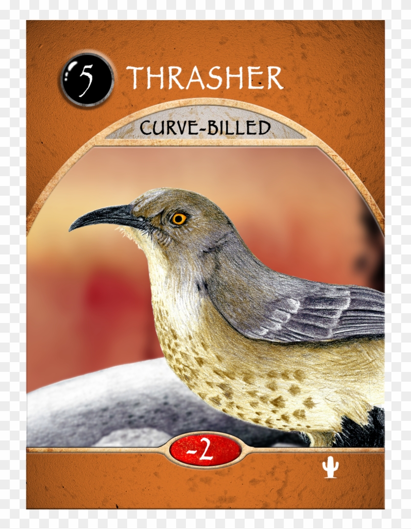 European Starling Clipart