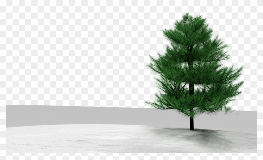 12untitled 960×540 460 Kb - Red Pine Clipart #2786801