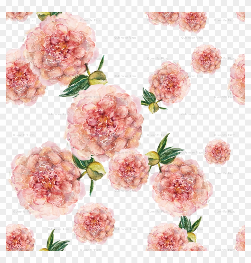 Common Peony Clipart #2787420