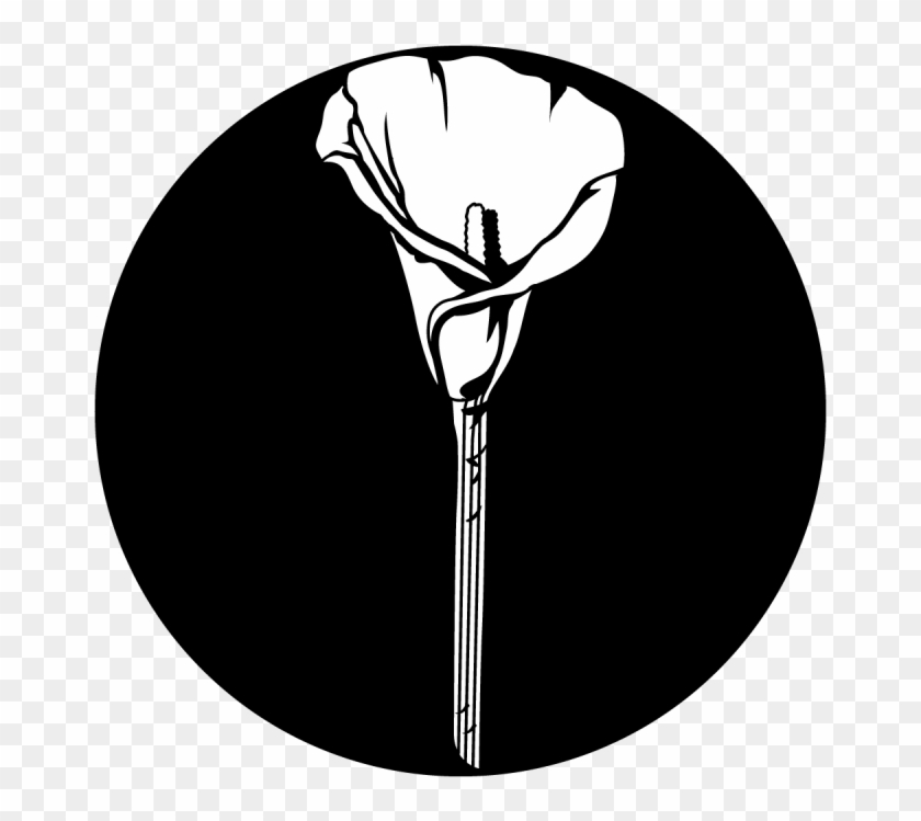 Lonely Calla Lily , Png Download - Illustration Clipart #2789664