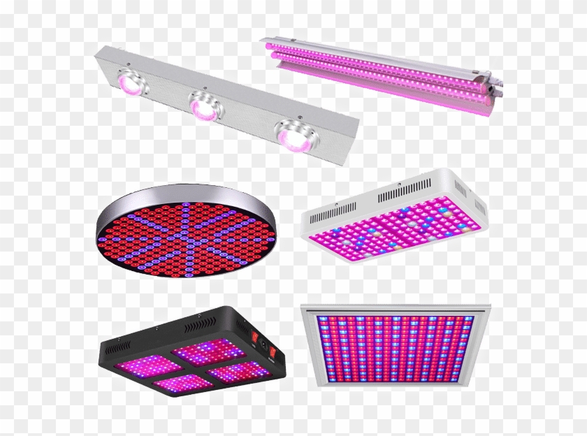 Led Grow Lights Full Spectrum,cob Led Grow Lights Manufacturer - Plastic Clipart #2790959