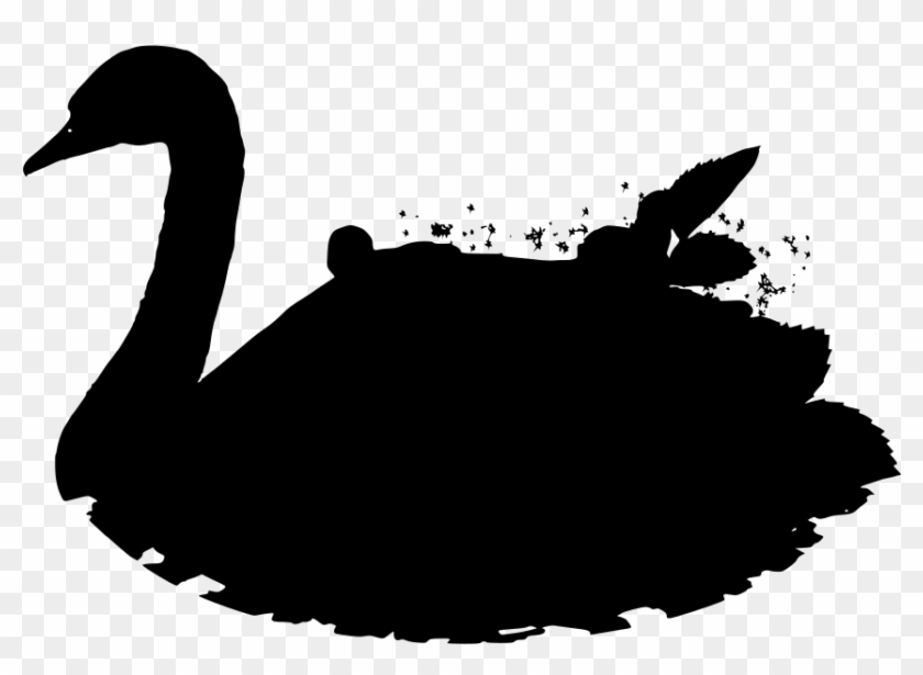 Download Png - Black Swan Clipart #2791096