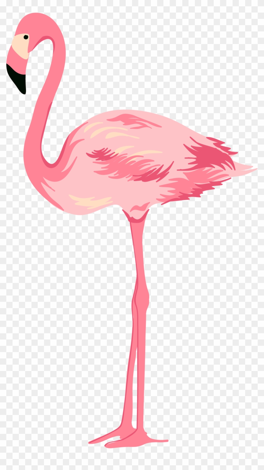 Flamingo Pink Swans Clipart #2791102