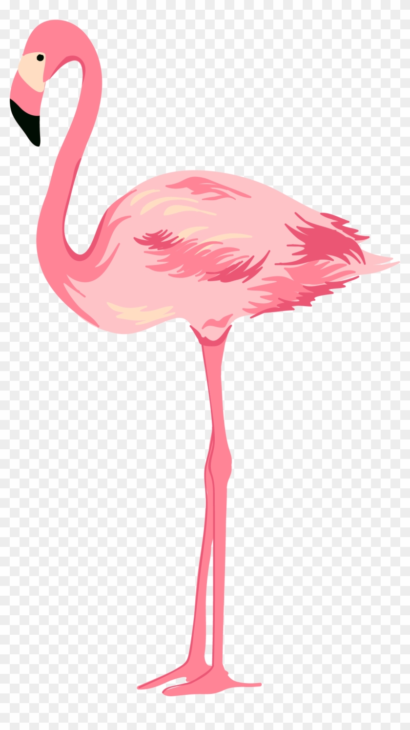Flamingo Pink Swans Clipart