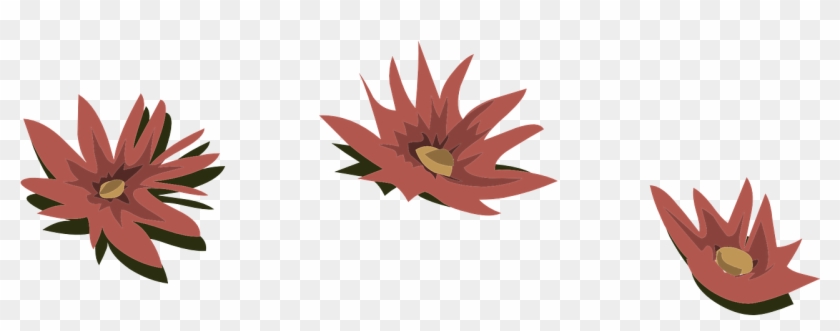 Pink Flowers Water Lilies Lily Png Image - Lírio De Água Png Clipart #2793790