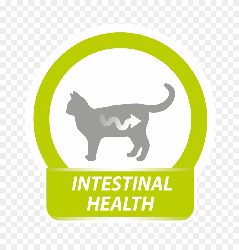 Cat Tail Png Clipart #2793846