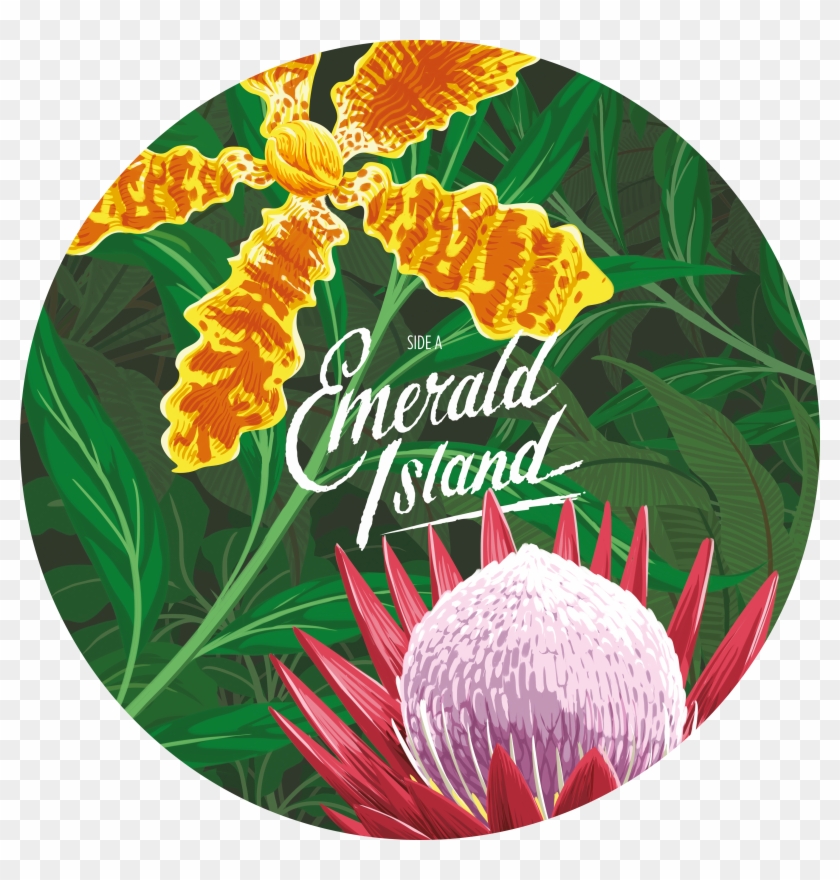 Emerald Island Ep Limited Edition - Caro Emerald Emerald Island Clipart #2795421