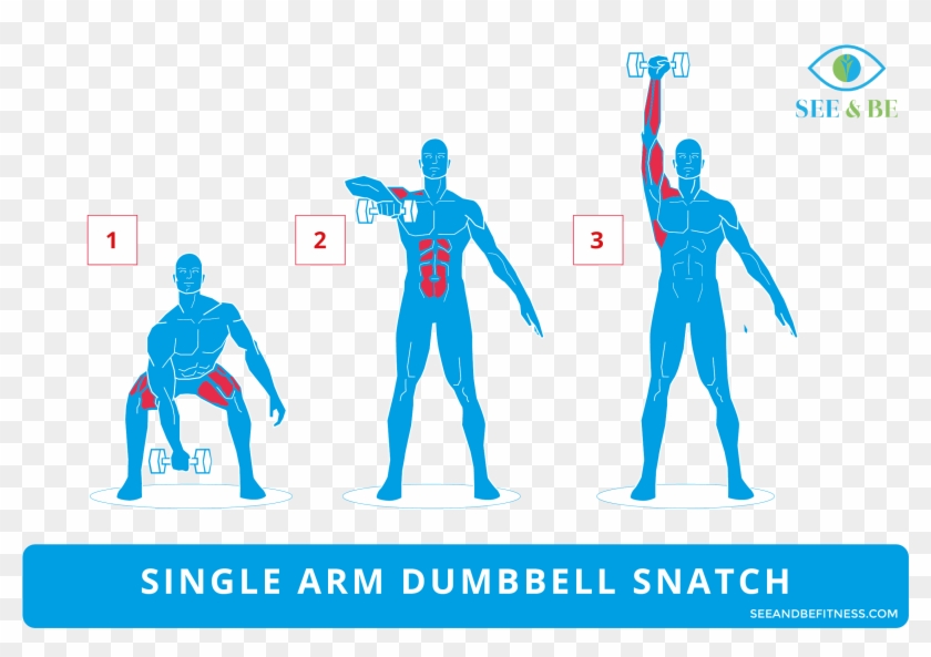 Exercise Of The Day - Pike Push Up Muscles Clipart