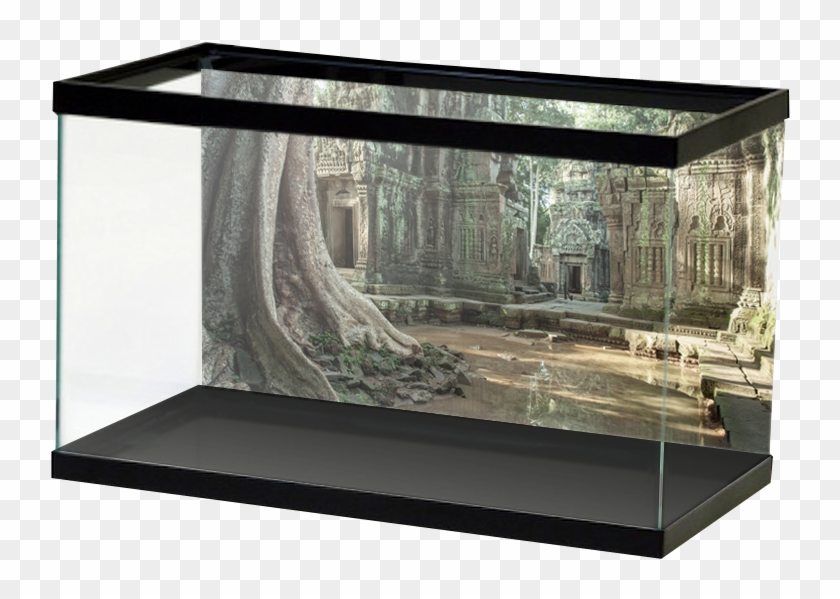 Ruinandroots Clipart #2797447