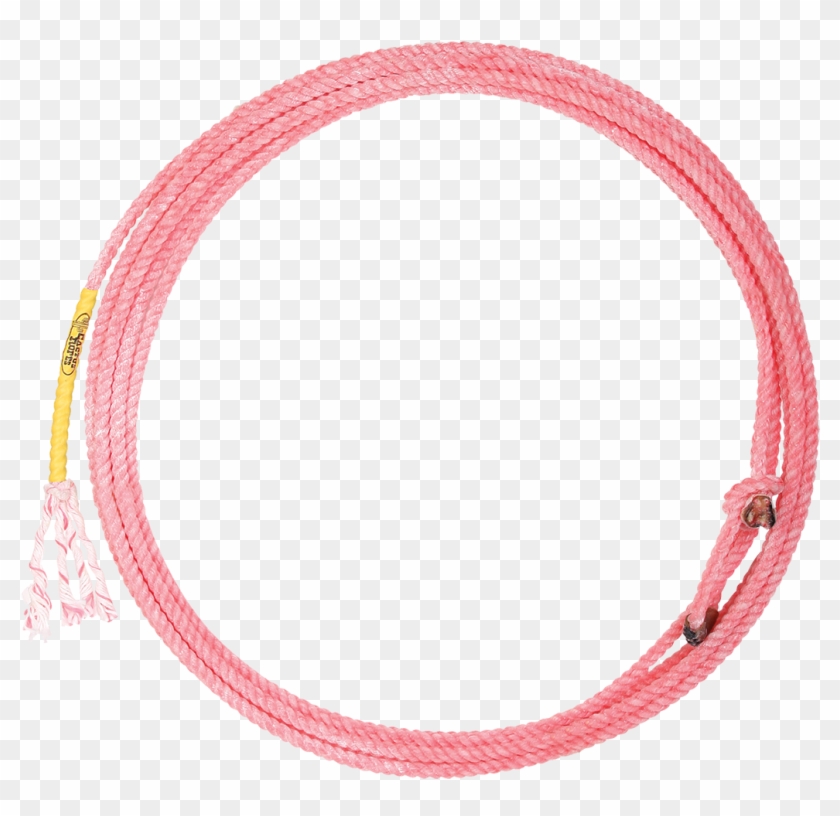 Cactus Ropes Cactus Shockwave - Circle Clipart #2799467