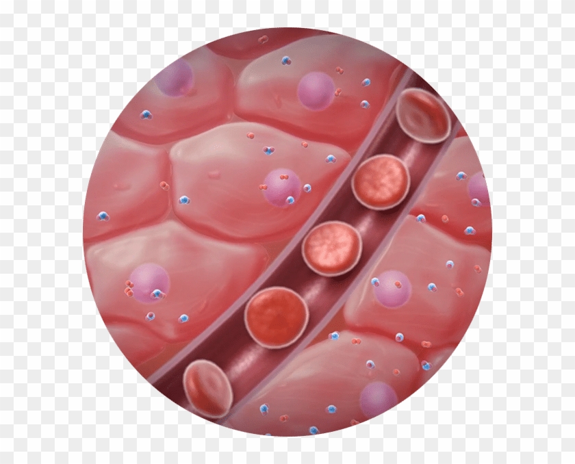 How Does Shockwave Therapy Work - Circle Clipart