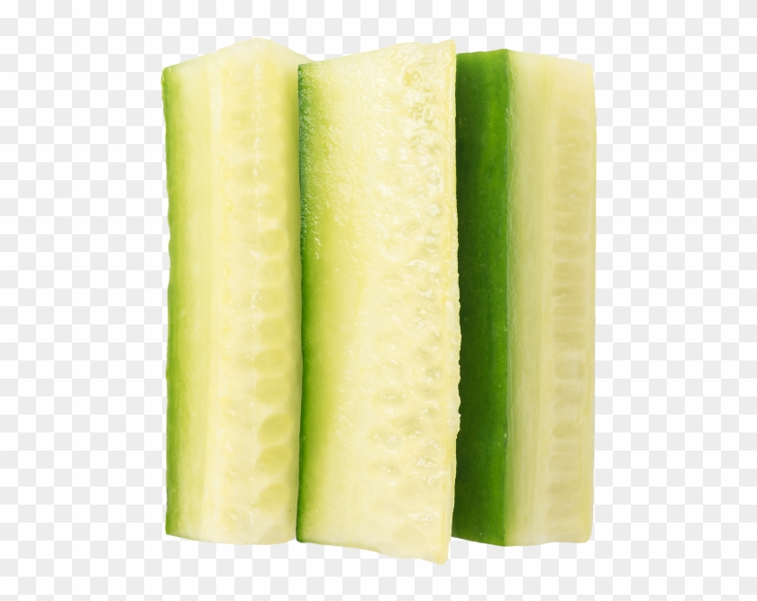 Cucumber Slices - Cucumber Clipart #280149