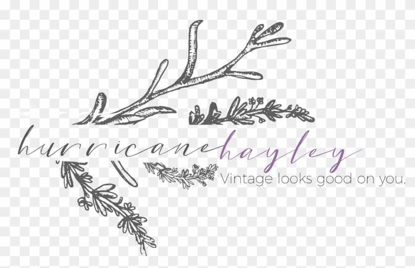 Anti-bacterial Towels Review - Calligraphy Clipart