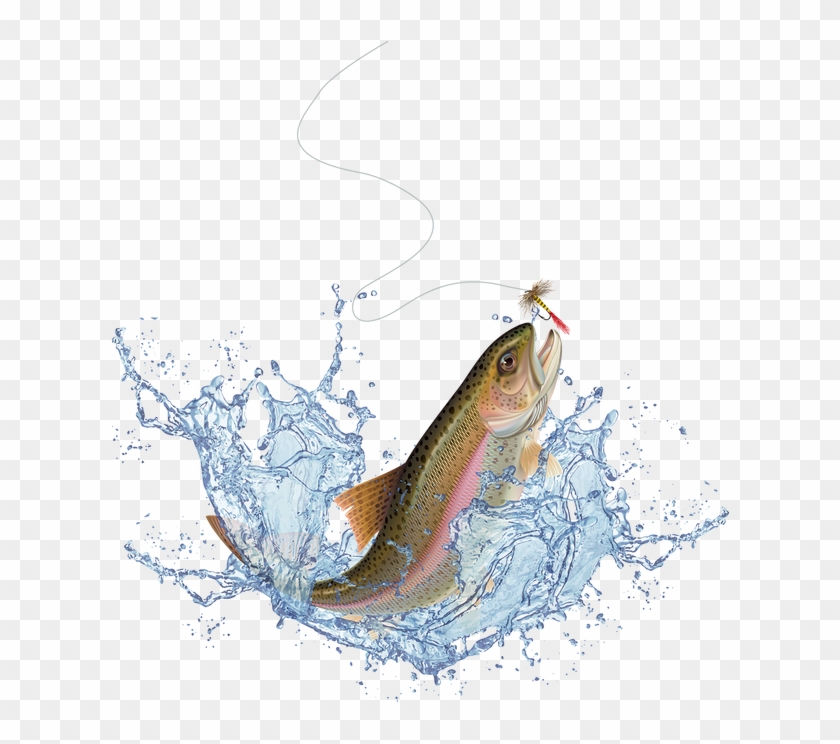 Salmon For Free Download On Mbtskoudsalg - Jumping Trout Clipart