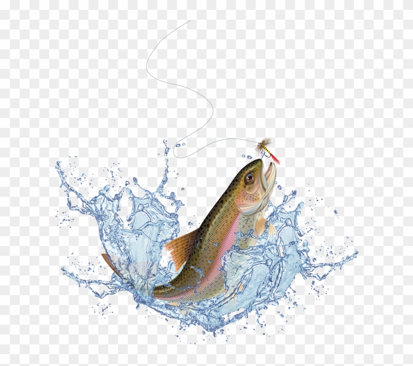 Salmon For Free Download On Mbtskoudsalg - Jumping Trout Clipart #280219