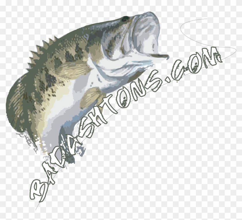 How Water Temperatures Affect Largemouth Bass Behavior Clipart #280565