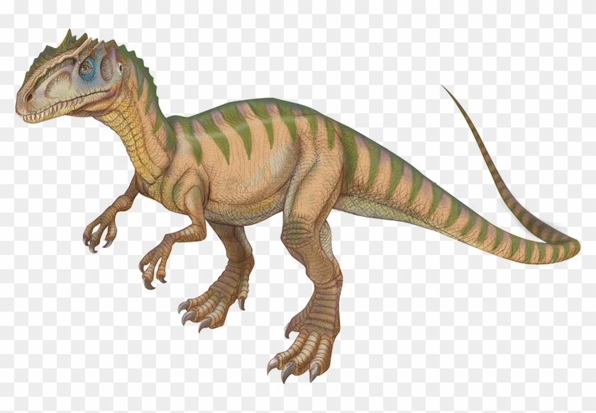 Allosaurus - Tyrannosaurus Clipart