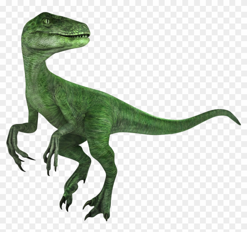 Velociraptor Sticker - Tyrannosaurus Clipart #281133