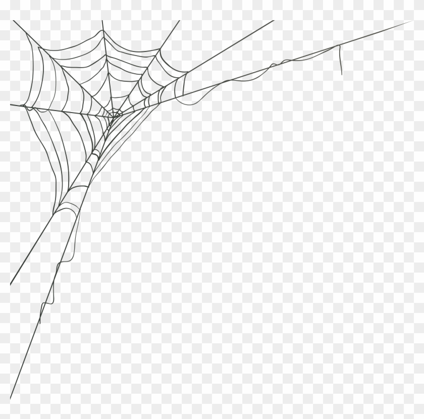 Spiderweb Png Clipart #282827