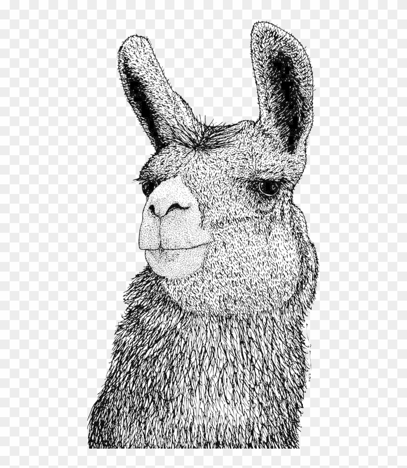 Thumb Image Clipart #282865