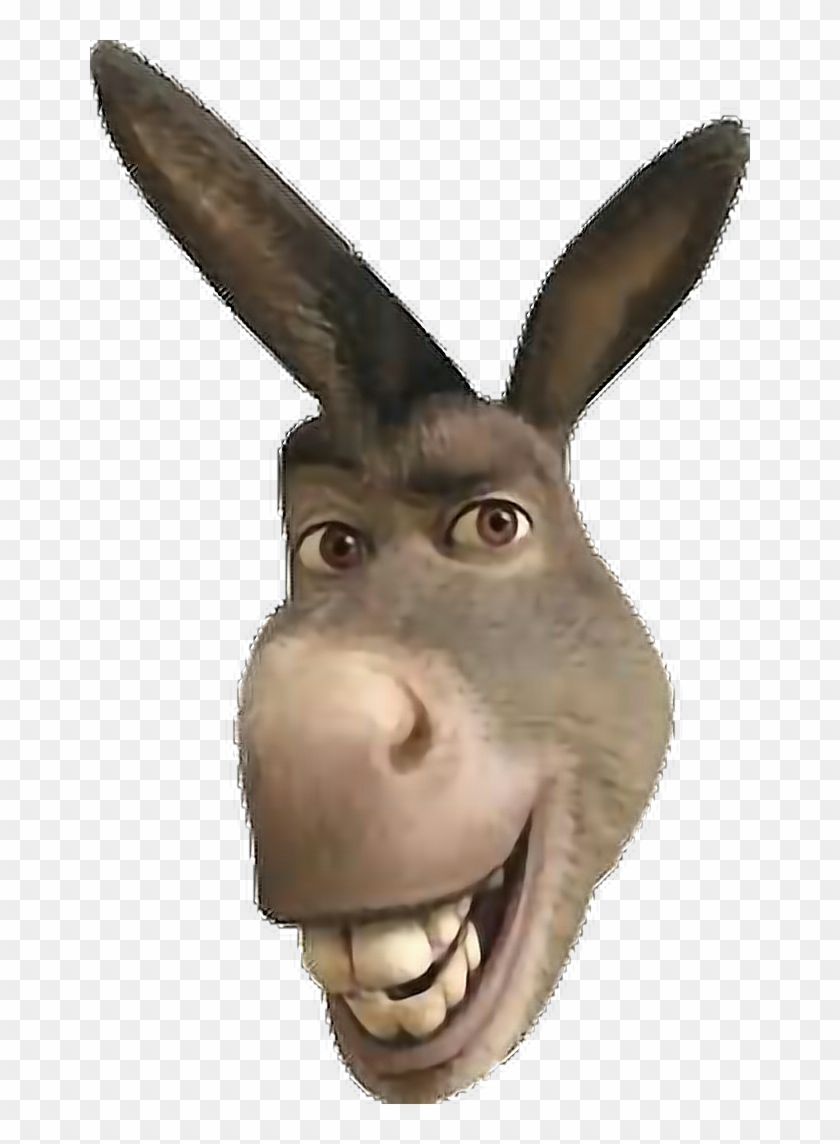 Donkey For Free Download On Mbtskoudsalg - Donkey Head From Shrek Clipart #282912