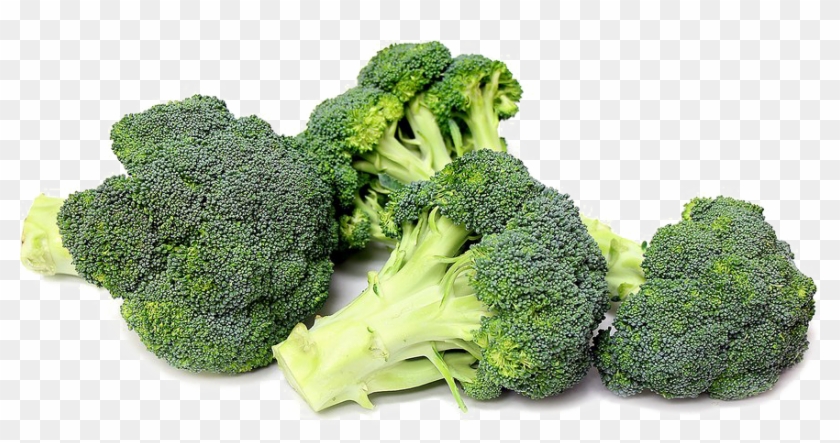 Broccoli Png Transparent - Broccoli Png Clipart #282934