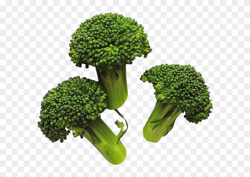 Broccoli Png Image - Broccoli Png Clipart #282972