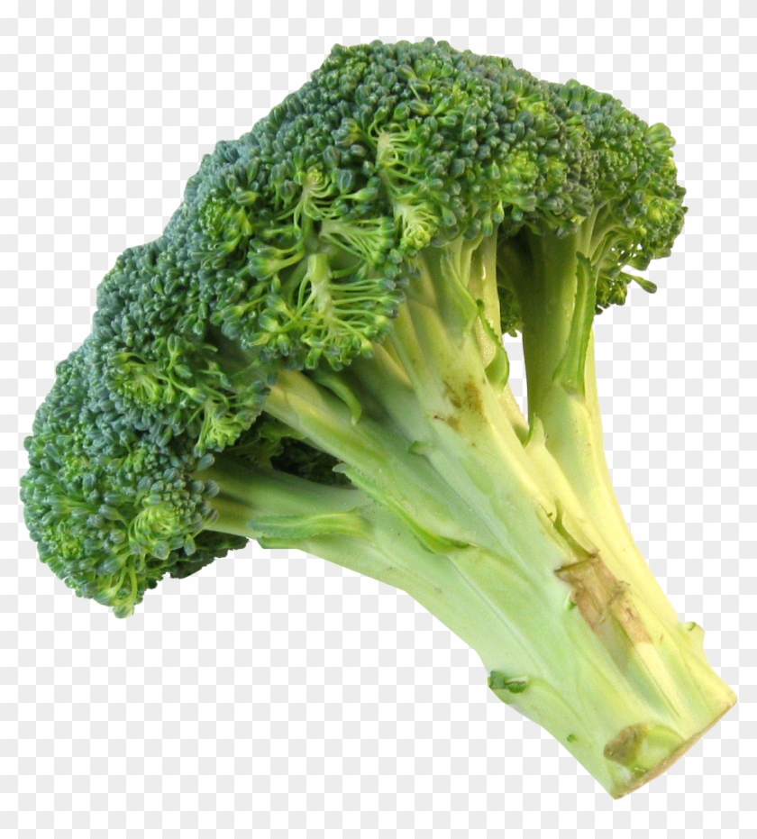 Free Png Download Fresh Broccoli Png Images Background - Transparent Broccoli Clipart