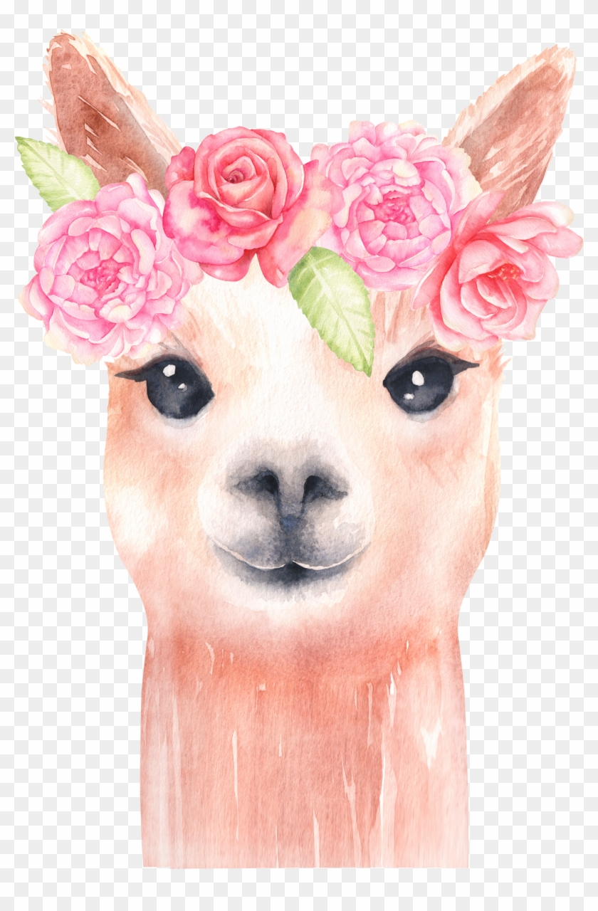 Alpaca And Flower Clipart/ Llama Clip Art/ Watercolor - Png Download