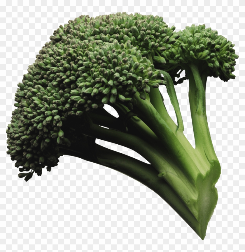 Download Broccoli Png Images Background - Go Foods 5 Examples Clipart