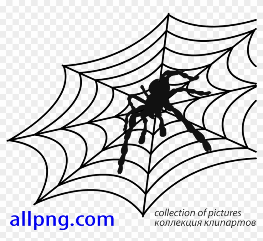 Spider Web Vector Png - Spider Web Clipart #283537