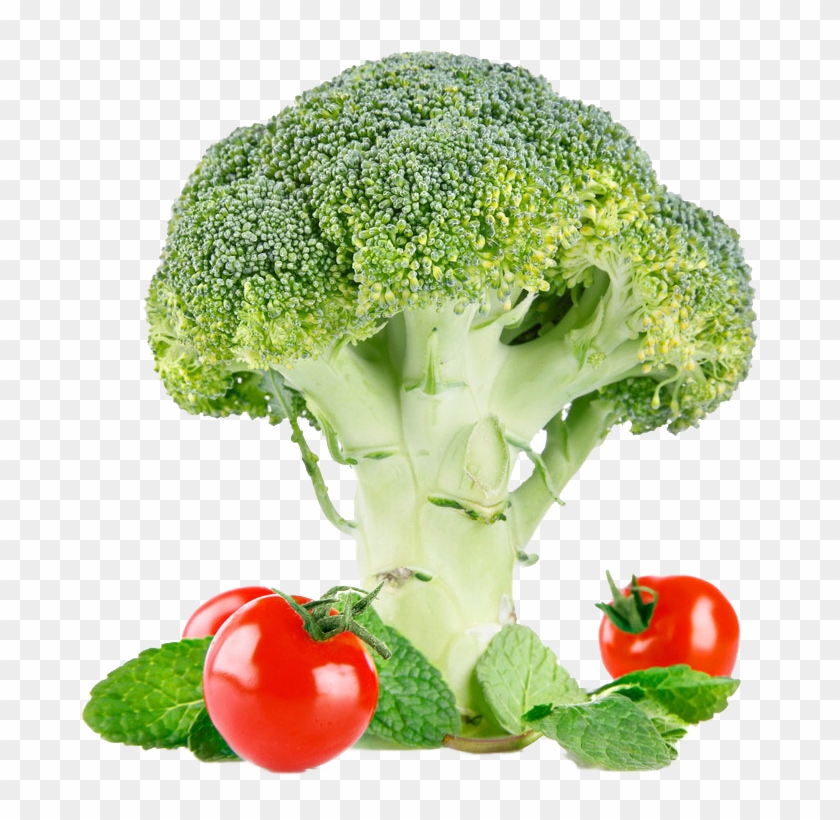 Broccoli - Sprouting Broccoli Clipart #283685