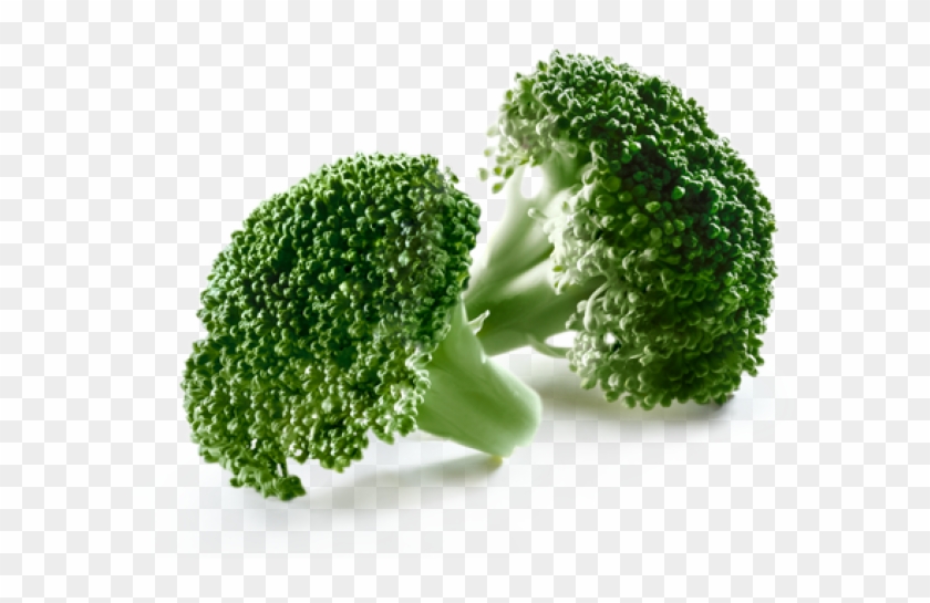 Broccoli Clipart #283905