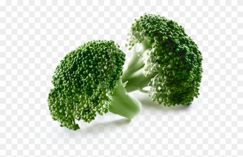 Broccoli Clipart