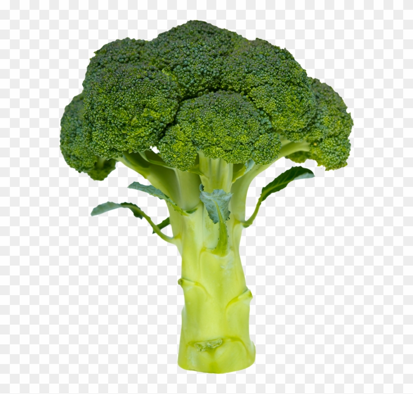 Broccoli Coke Clipart