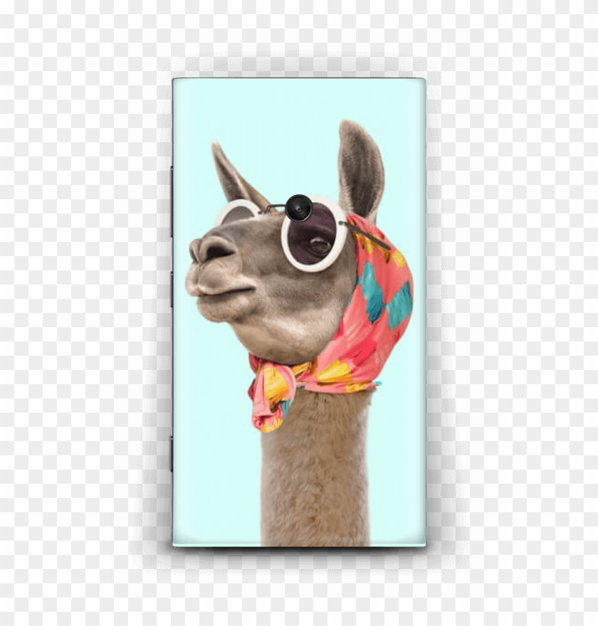 Fashion Llama Skin Nokia Lumia - Lhama Fashion Clipart #284008