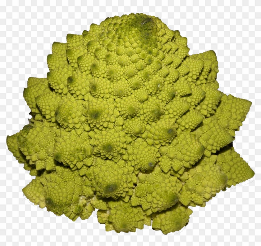 Romanesco Broccoli - Broccoli Clipart