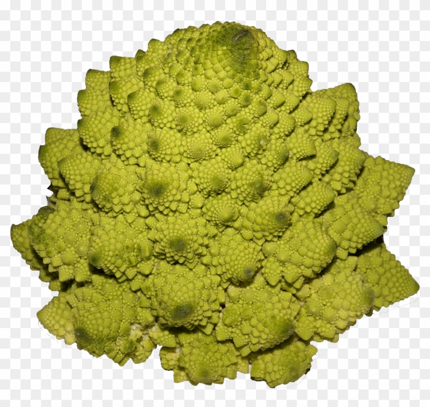 Romanesco Broccoli - Broccoli Clipart #284252